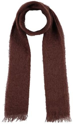 Uomo Sciarpa Testa di moro 64% Lana mohair 31% Lana 5% Nylon