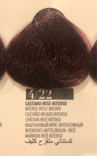 Tinta Capelli - 4.22 Castano Irisè Intenso